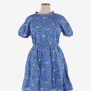 J. Crew Blue Puff Sleeve Sundress